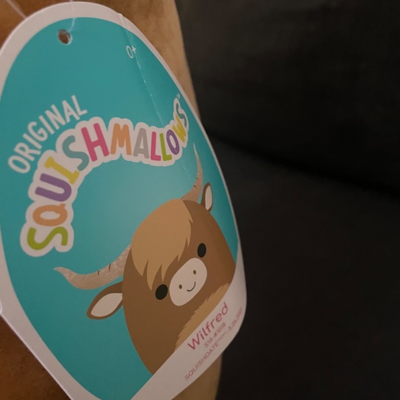 10 items - large squishmallows bundle, cow bird frogs & food and more - Picture 3 of 14